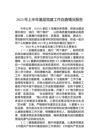 2023年上半年基层党建工作自查情况报告