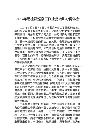 2023年纪检及巡察工作业务培训心得体会