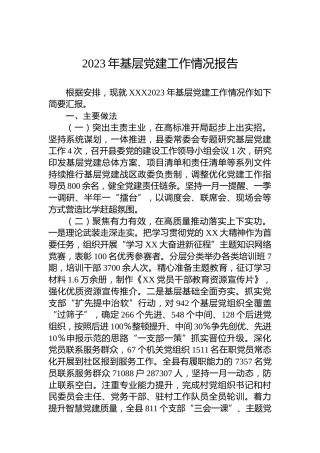2023年基层党建工作情况报告
