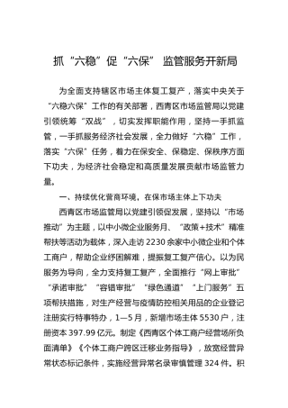 抓“六稳”促“六保”监管服务开新局