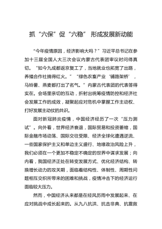 抓“六保”促“六稳”形成发展新动能