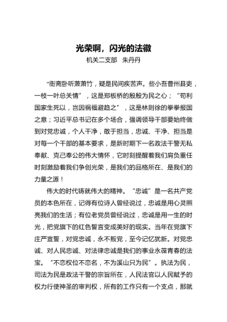 朱丹丹：光荣啊，闪光的法徽