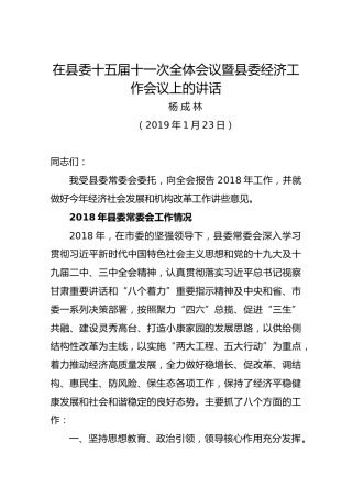 杨成林：在县委十五届十一次全体会议暨县委经济工作会议上的讲话