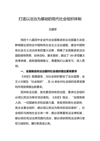 王建军：打造以法治为基础的现代社会组织体制