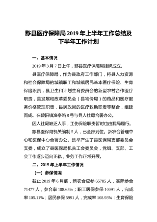 黟县医疗保障局2019年上半年工作总结及下半年工作计划