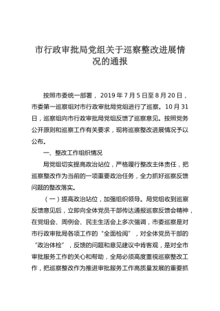 市行政审批局党组关于巡察整改进展情况的通报