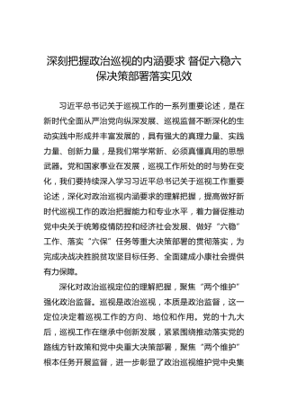 深刻把握政治巡视的内涵要求督促六稳六保决策部署落实见效