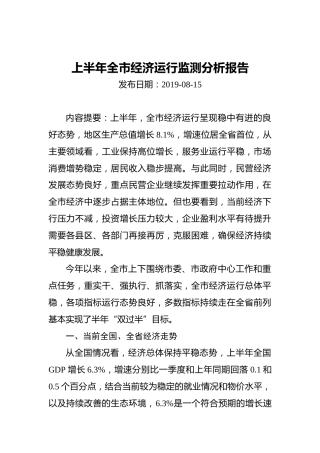 上半年全市经济运行监测分析报告