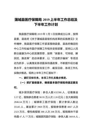 蒲城县医疗保障局2019上半年工作总结及下半年工作计划