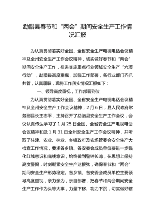 勐腊县春节和“两会”期间安全生产工作情况汇报