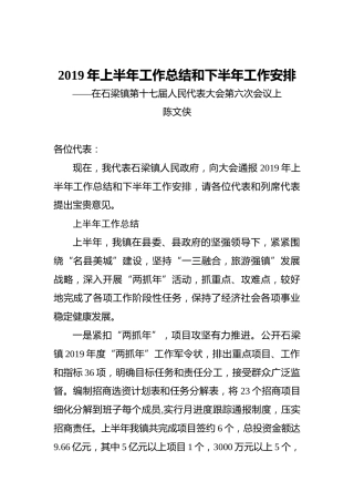 陈文侠：2019年上半年工作总结和下半年工作安排