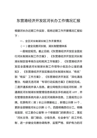 东营港经济开发区河长办工作情况汇报