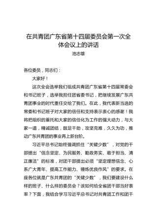 池志雄：在共青团广东省第十四届委员会第一次全体会议上的讲话