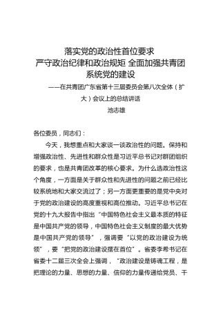 池志雄：在共青团广东省第十三届委员会第八次全体（扩大）会议上的总结讲话
