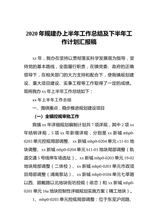2020年规建办上半年工作总结及下半年工作计划汇报稿