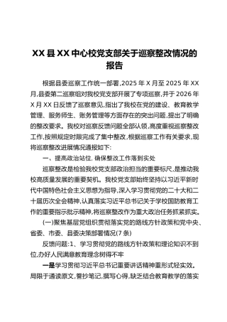 XX县XX中心校党支部关于巡察整改情况的报告