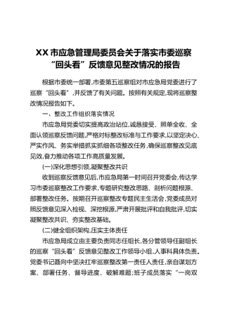 XX市应急管理局委员会关于落实市委巡察“回头看”反馈意见整改情况的报告