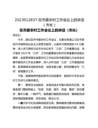 在市委农村工作会议上的讲话（市长）