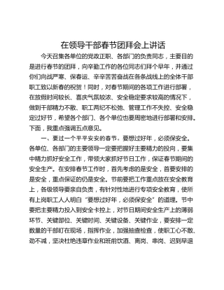 在领导干部春节团拜会上讲话