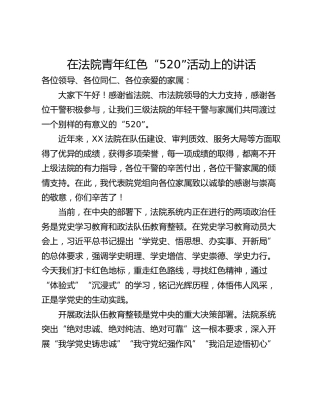 在法院青年红色“520”活动上的讲话
