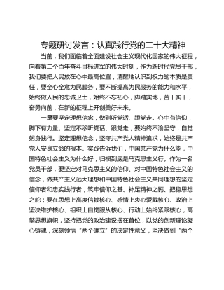 专题研讨发言：认真践行党的二十大精神