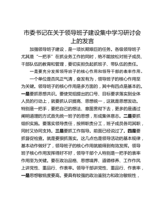市委书记在关于领导班子建设集中学习研讨会上的发言