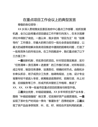 在重点项目工作会议上的典型发言