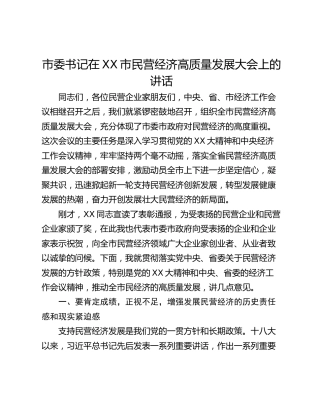 市委书记在XX市民营经济高质量发展大会上的讲话