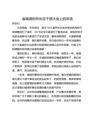 省城调所所长在干部大会上的讲话
