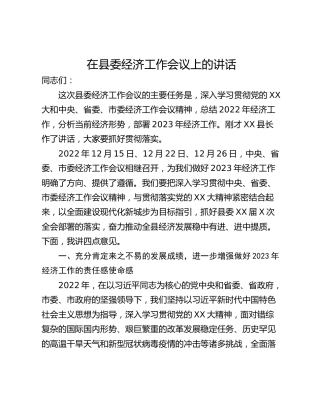 在县委经济工作会议上的讲话_1