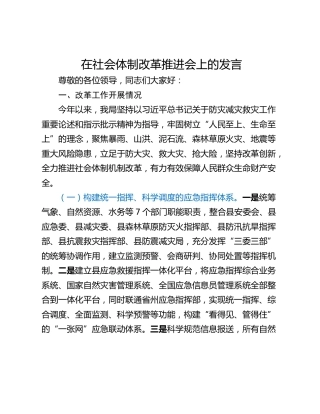 在社会体制改革推进会上的发言