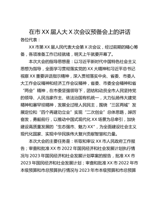 在市XX届人大X次会议预备会上的讲话