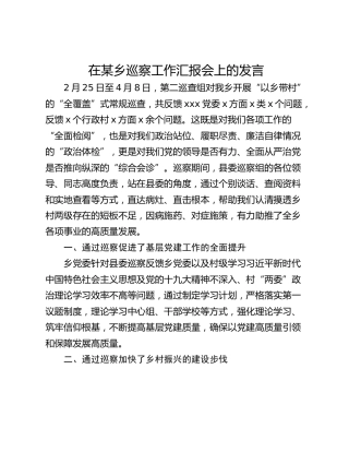 在某乡巡察工作汇报会上的发言
