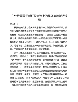 在处级领导干部任职会议上的集体廉政谈话提纲