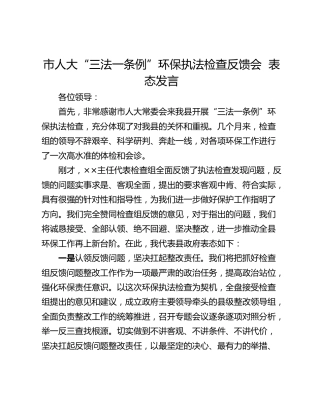 市人大“三法一条例”环保执法检查反馈会  表态发言