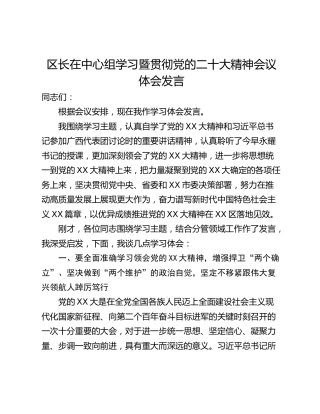 区长在中心组学习暨贯彻党的二十大精神会议体会发言