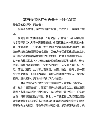 某市委书记在省委全会上讨论发言