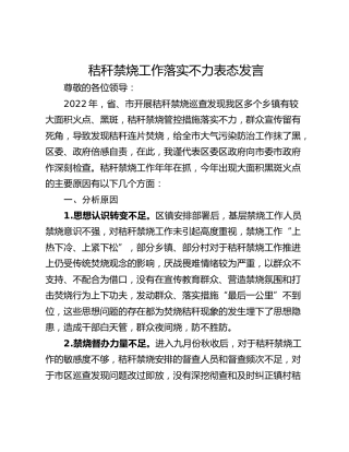 秸秆禁烧工作落实不力表态发言
