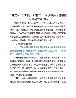 “讲政治、守规矩、严作风” 专项教育问题检视专题会发言材料
