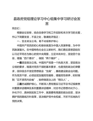 县政府党组理论学习中心组集中学习研讨会发言