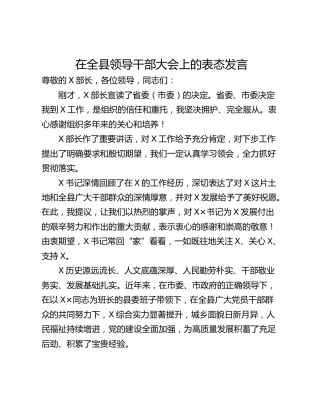 在全县领导干部大会上的表态发言