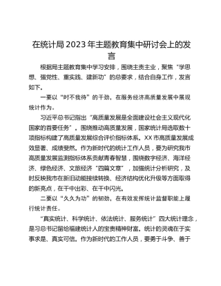 在统计局2023年主题教育集中研讨会上的发言