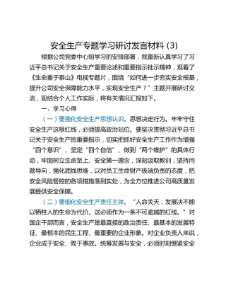 安全生产专题学习研讨发言材料 (3)