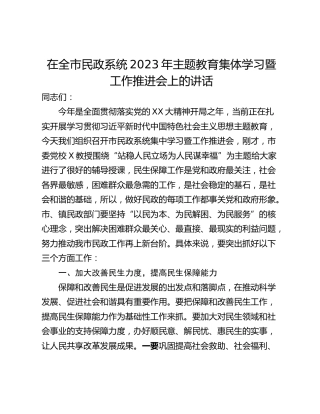 在全市民政系统2023年主题教育集体学习暨工作推进会上的讲话