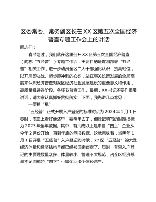 区委常委、常务副区长在XX区第五次全国经济普查专题工作会上的讲话