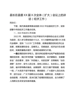 县长在县委XX届X次全体（扩大）会议上的讲话（经济工作）