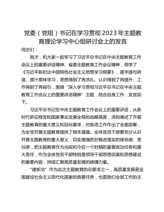党委（党组）书记在学习贯彻2023年主题教育理论学习中心组研讨会上的发言