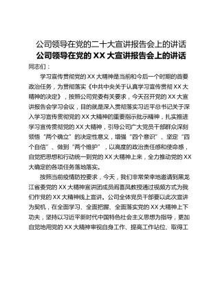 公司领导在党的二十大宣讲报告会上的讲话