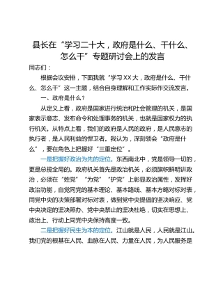 县长在“学习二十大，政府是什么、干什么、怎么干”专题研讨会上的发言