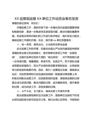 XX巡察组巡察XX单位工作动员会表态发言